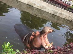 -合肥野生动物园
