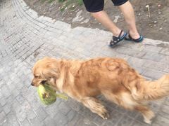 -VESH COFFEE(定西路店)