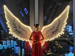 -WFC会仙楼观景台