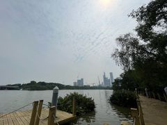 -华侨城湿地公园