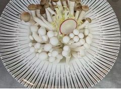 -马家斑.鲜鱼火锅(松湖万科店)