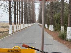 -嘉北郊野公园