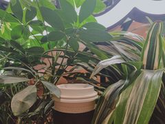 -Seesaw Coffee(朝阳大悦城店)