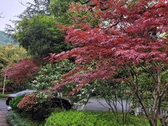 -杭州花家山庄