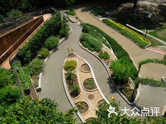 福冈市植物园绿の相谈所图片 - 第5张