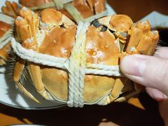 -阳澄湖大闸蟹·琼灵阁牌品牌连锁(吴中总店)