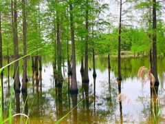 -白鹭湾湿地公园