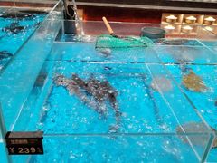 -艳阳天·非遗楚菜(武汉客厅店)