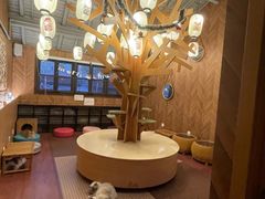 -MOCHA明星猫咖(田子坊店)