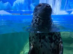 -多彩贵州城极地海洋世界