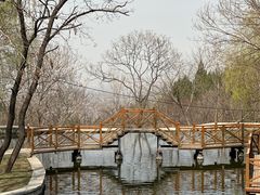 -封龙山风景区
