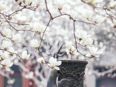 -颐和园