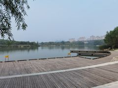 -马家湾湿地公园