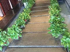 -梧桐餐厅(泉城路店)