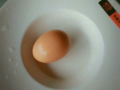 -天都火锅酒楼(虹梅南路店)