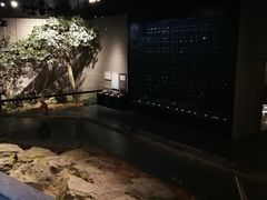-北京周口店北京人遗址博物馆