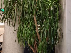 -鹿港小镇(中关村店)
