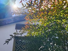-上海三山会馆