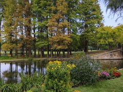 -上海共青森林公园