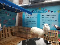 -佟小曼手工茶饼坊(鼓浪屿1店)