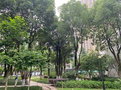 -重庆市江北嘴中央商务区中央公园