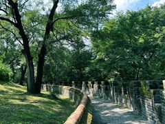 -北陵公园