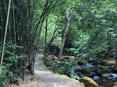 -羚羊峡古栈道森林公园