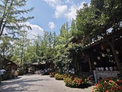 -青城甲(青城山店)