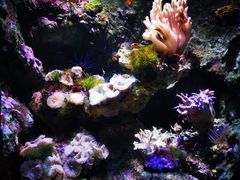 -杭州长乔极地海洋公园
