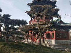 -迎泽公园