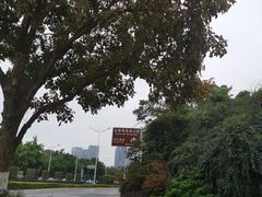 -五缘湾湿地公园