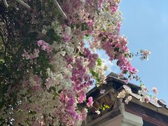 -深圳国际园林花卉博览园