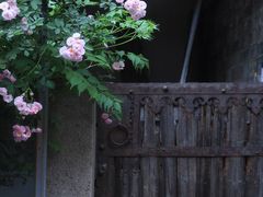 -老门东历史文化街区