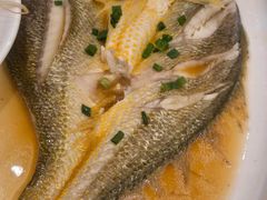 -华盛丰温州大排档(东三环南路店)