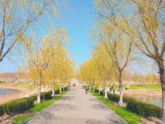 -天津东丽湖风景区