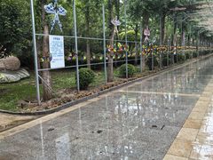 -南宫五洲植物乐园