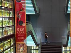 -广东中医药博物馆