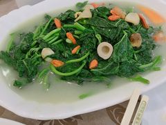 上汤浸辣椒叶-新兴家喻酒家·羊城名宴(昌岗店)