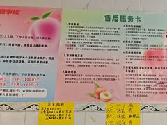 -老袁家蜜桃农场·阳山水蜜桃