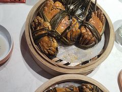 -杨氏青龙虾·羊蝎子(托乐嘉店)