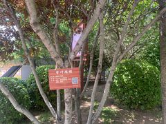 -迎泽公园