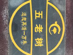 -千年银杏谷文化旅游区