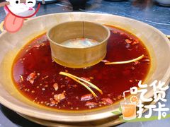 -杨家火锅(国美店)