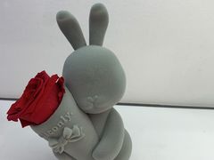 -ROSEONLY诺誓(广州K11店)