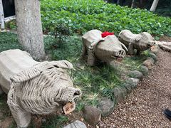 -天目湖山水园