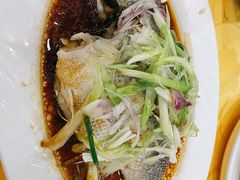 葱油淋鱼-粤·向群饭店(泮塘路店)