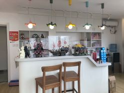 -E.L.K造型momopark店