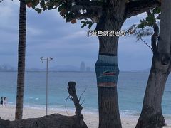 -三亚电动车租赁(兰海花园一期店)
