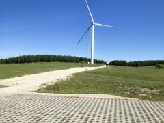 -塞罕坝国家级自然保护区