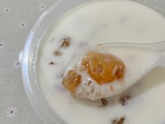 -老周记顺德双皮奶
